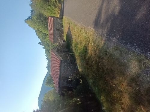 20220813_006.jpg