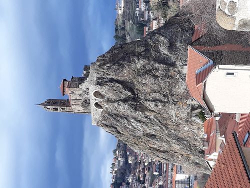 20190317_06.jpg