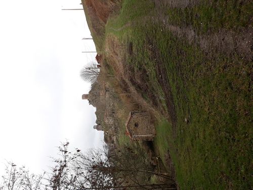 20190319_12.jpg
