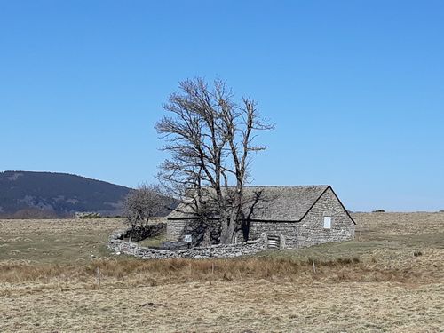 20190321_24.jpg