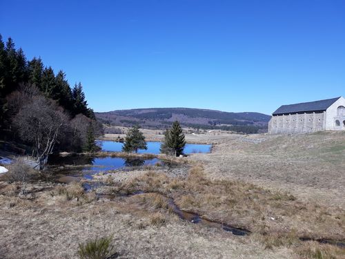 20190321_25.jpg