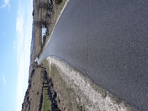 20190323_41.jpg