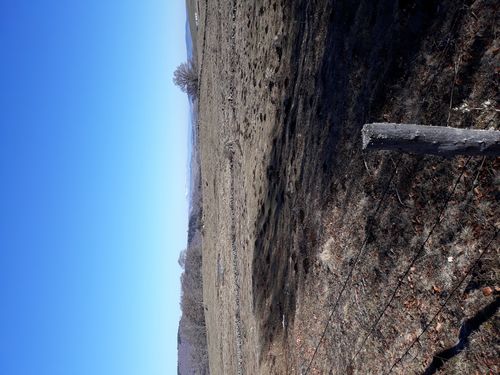 20190324_45.jpg