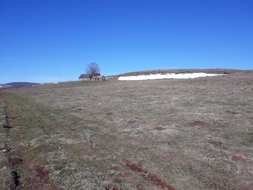 20190324_48.jpg