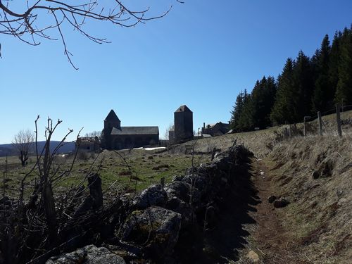 20190324_49.jpg