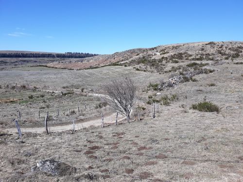20190324_50.jpg