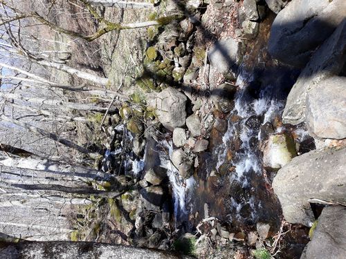 20190324_51.jpg