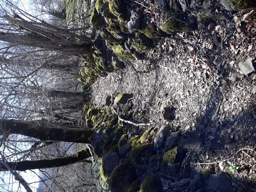 20190324_52.jpg