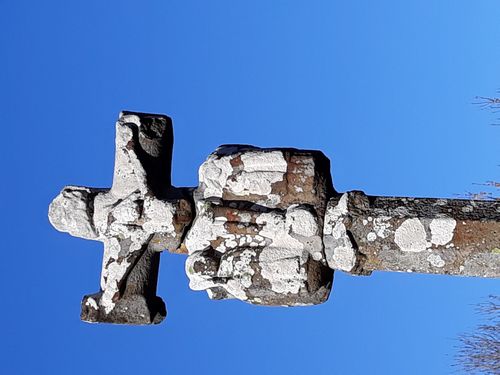 20190324_54.jpg
