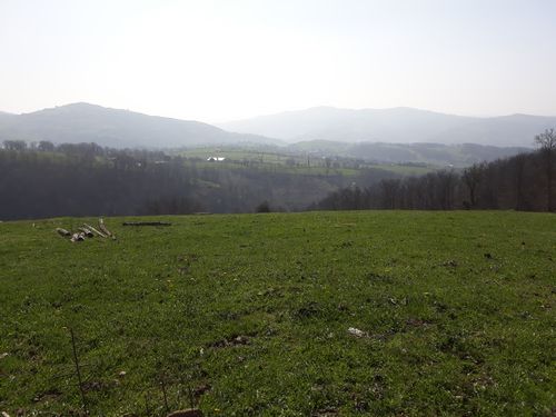 20190325_57.jpg