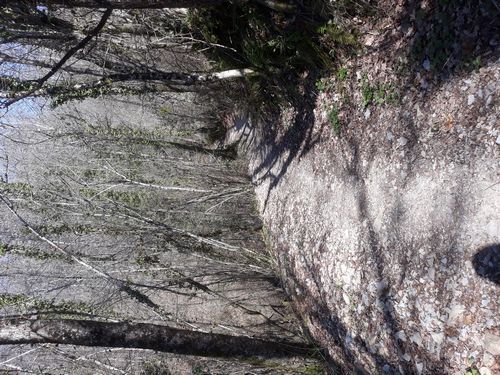 20190325_58.jpg