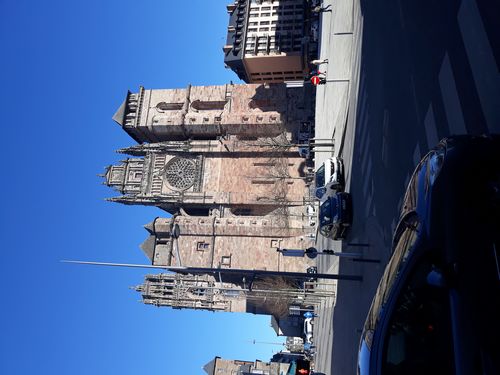 20190326_65.jpg