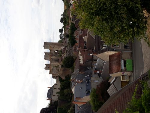 20200802_001.jpg