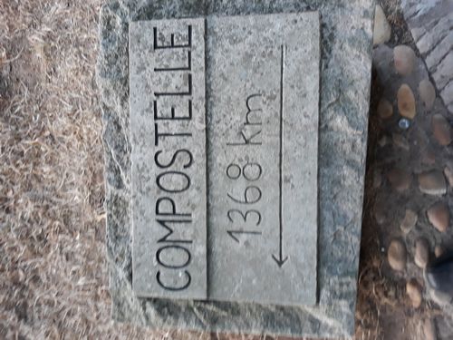 20200803_002.jpg