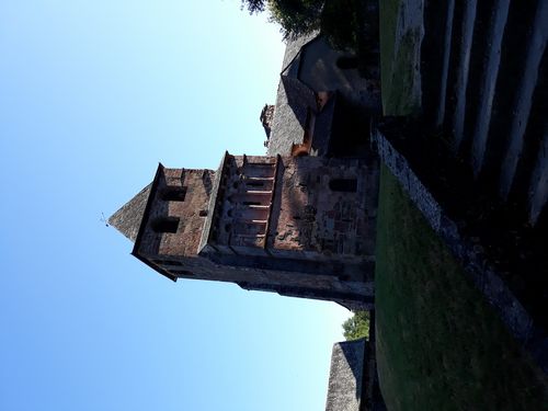 20200804_005.jpg