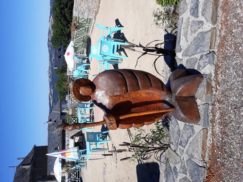 20200805_010.jpg