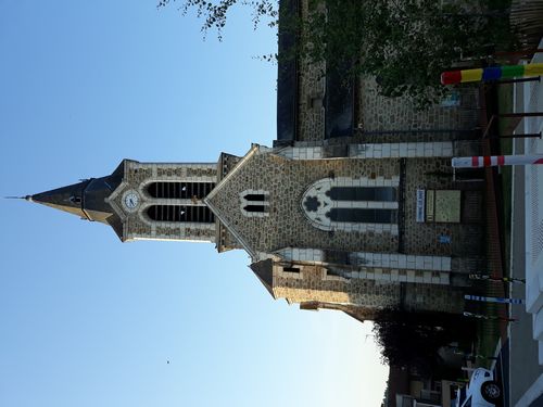 20200808_022.jpg