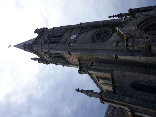 20200809_304.jpg