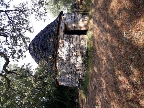 20200810_307.jpg