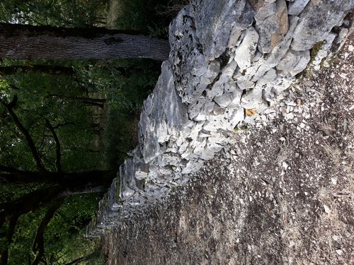 20200810_309.jpg