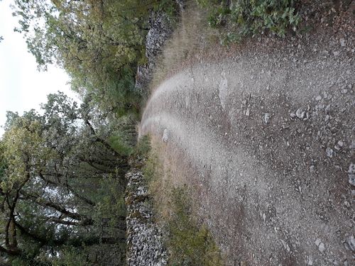 20200812_315.jpg