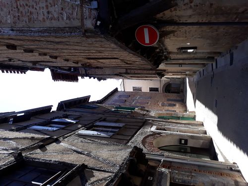 20200814_335.jpg