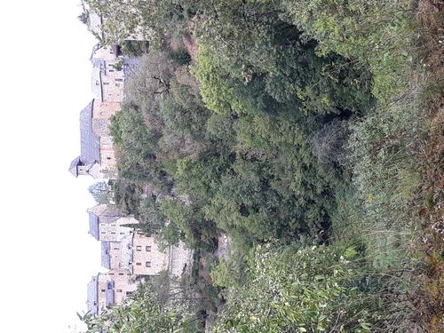 20200818_104.jpg