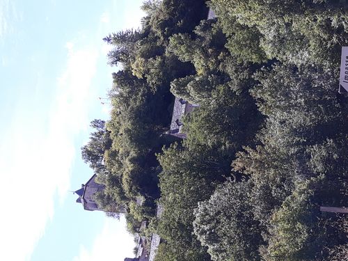 20200818_105.jpg