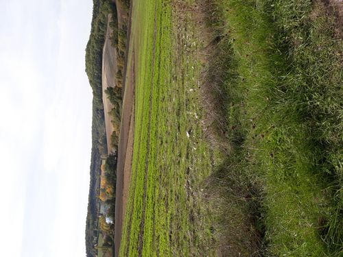 20201019_002.jpg