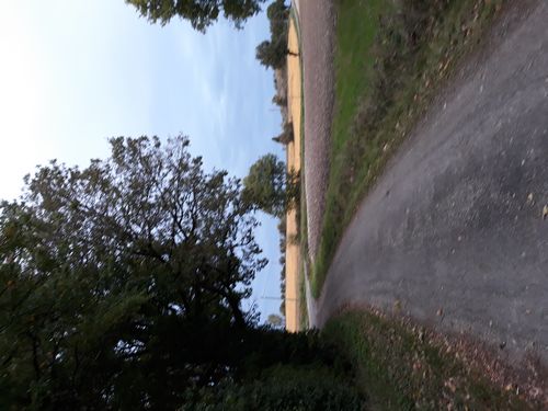 20201020_006.jpg