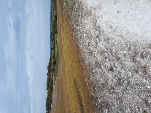 20201020_007.jpg
