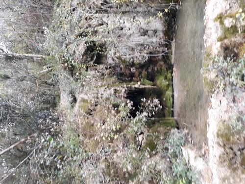 20201020_008.jpg