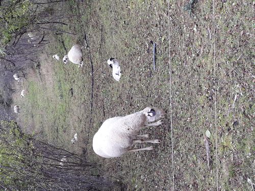 20201020_011.jpg