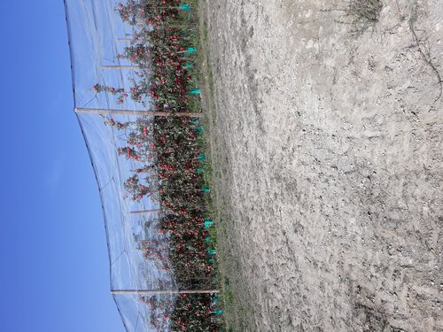 20201021_021.jpg