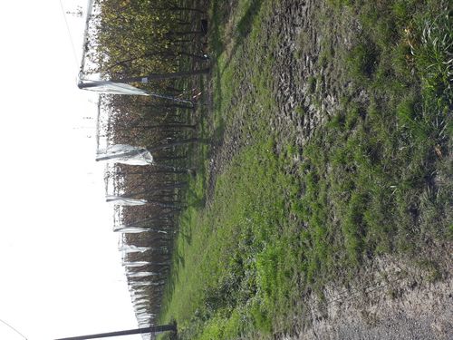 20201021_022.jpg