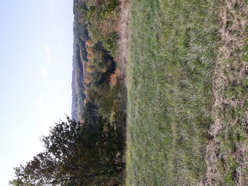 20201021_024.jpg