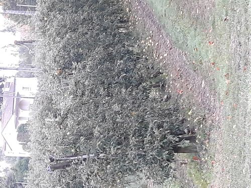 20201022_030.jpg