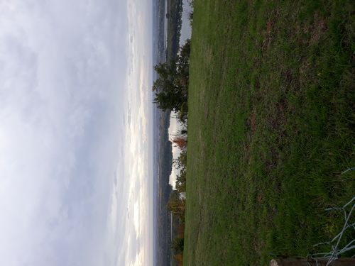 20201022_031.jpg