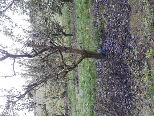 20201022_033.jpg