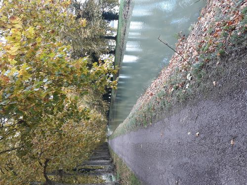 20201022_034.jpg