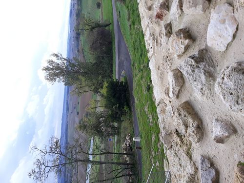 20201024_042.jpg