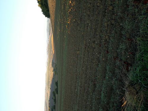 20201024_045.jpg