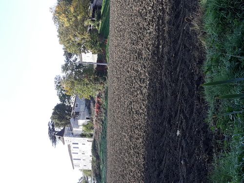 20201024_049.jpg