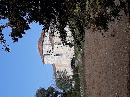 20201024_050.jpg