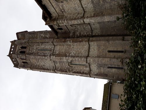 20201025_055.jpg