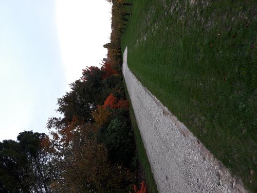 20201026_060.jpg