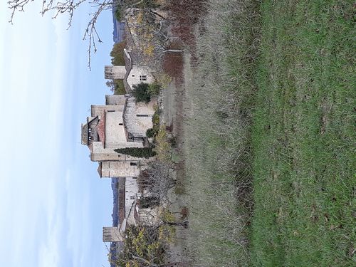 20201027_065.jpg