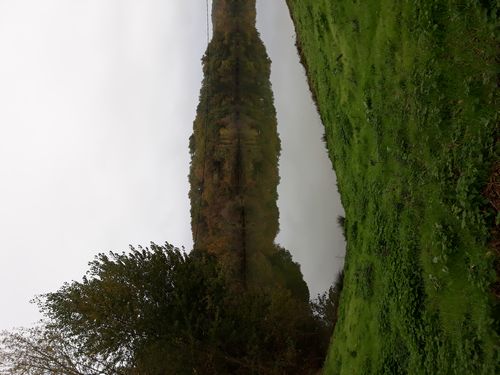 20201028_069.jpg