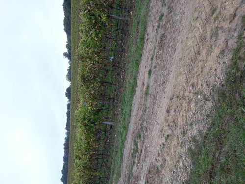 20201028_070.jpg