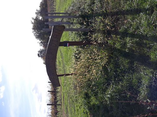 20201029_076.jpg
